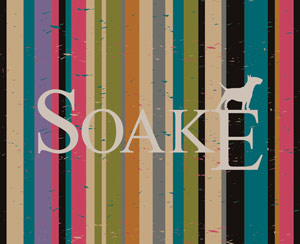 Soake Limited Logo