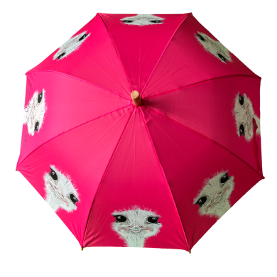 Emily Smith Designs Camilla Umbrella for Kids