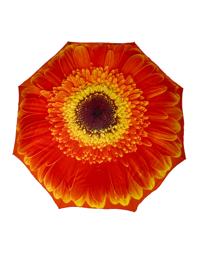 StormKing Folding Floral Umbrella Orange Daisy